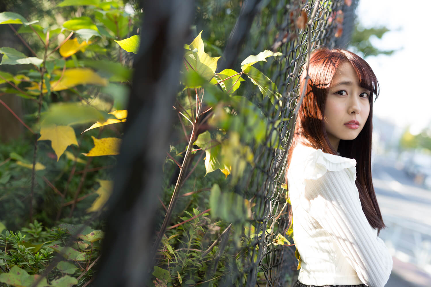 生田千秋の写真