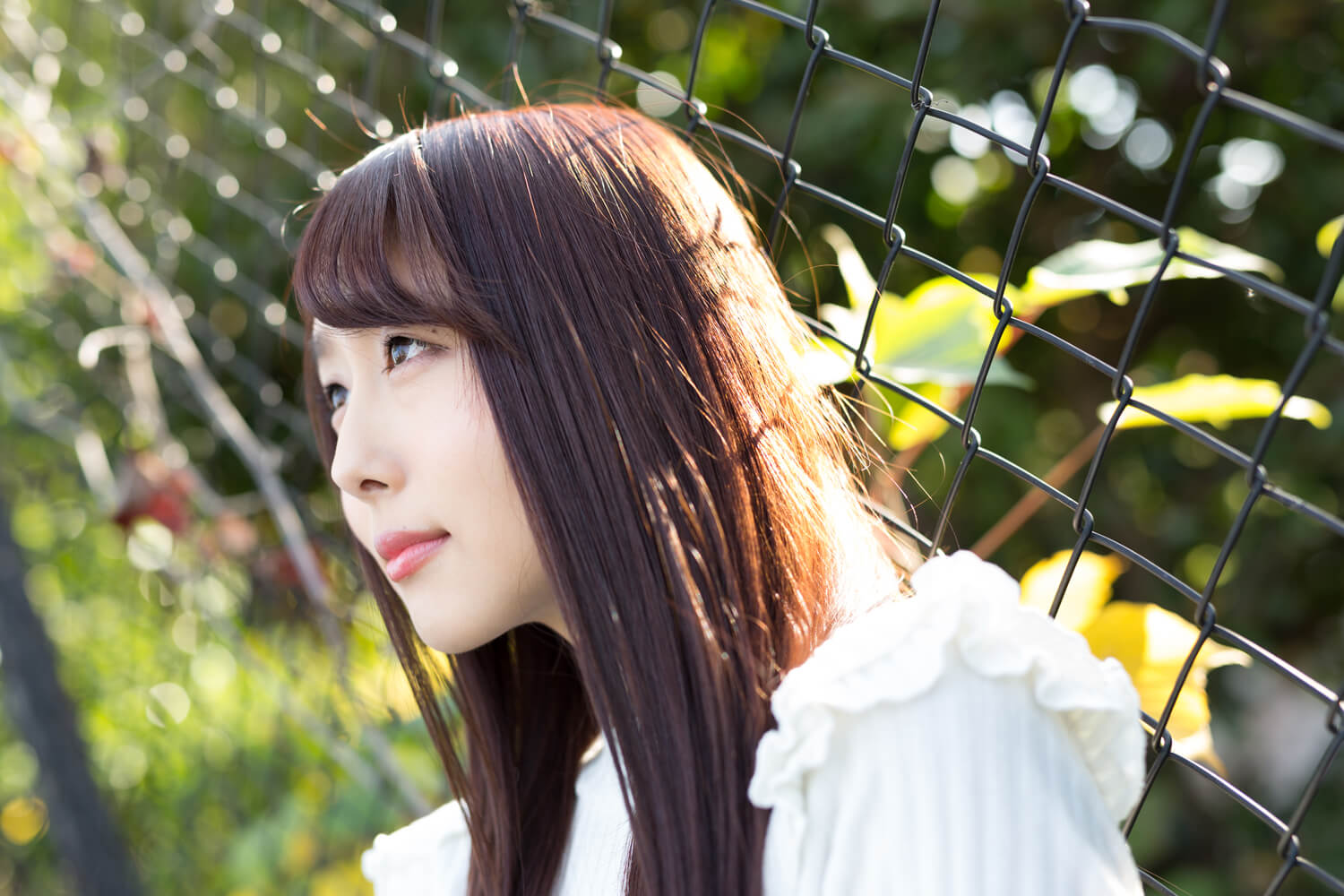 生田千秋の写真