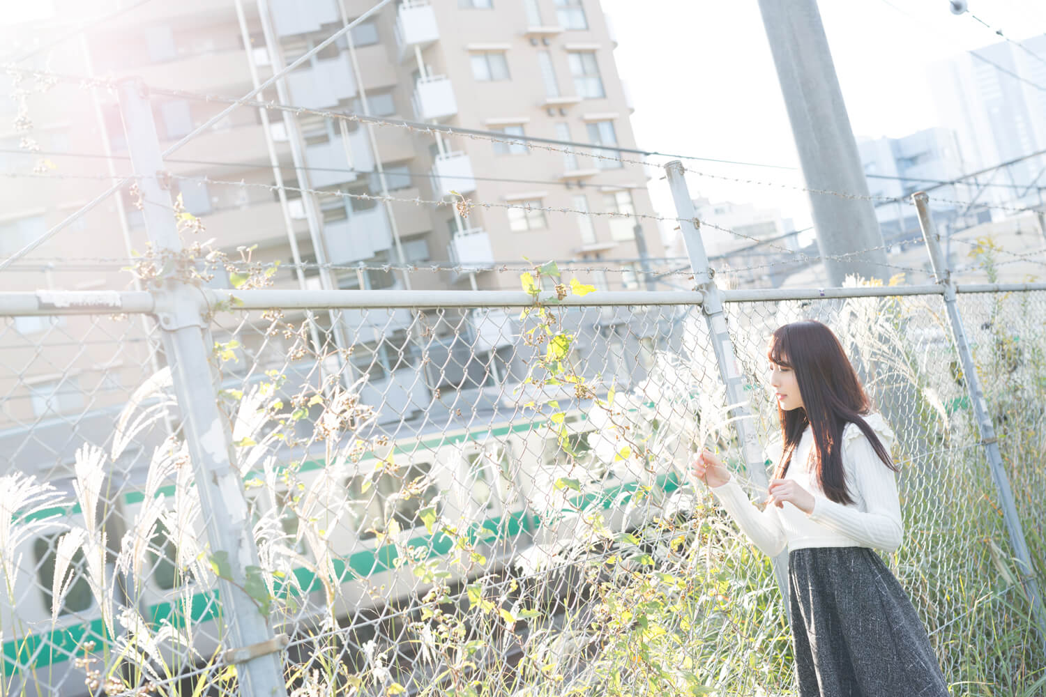 生田千秋の写真