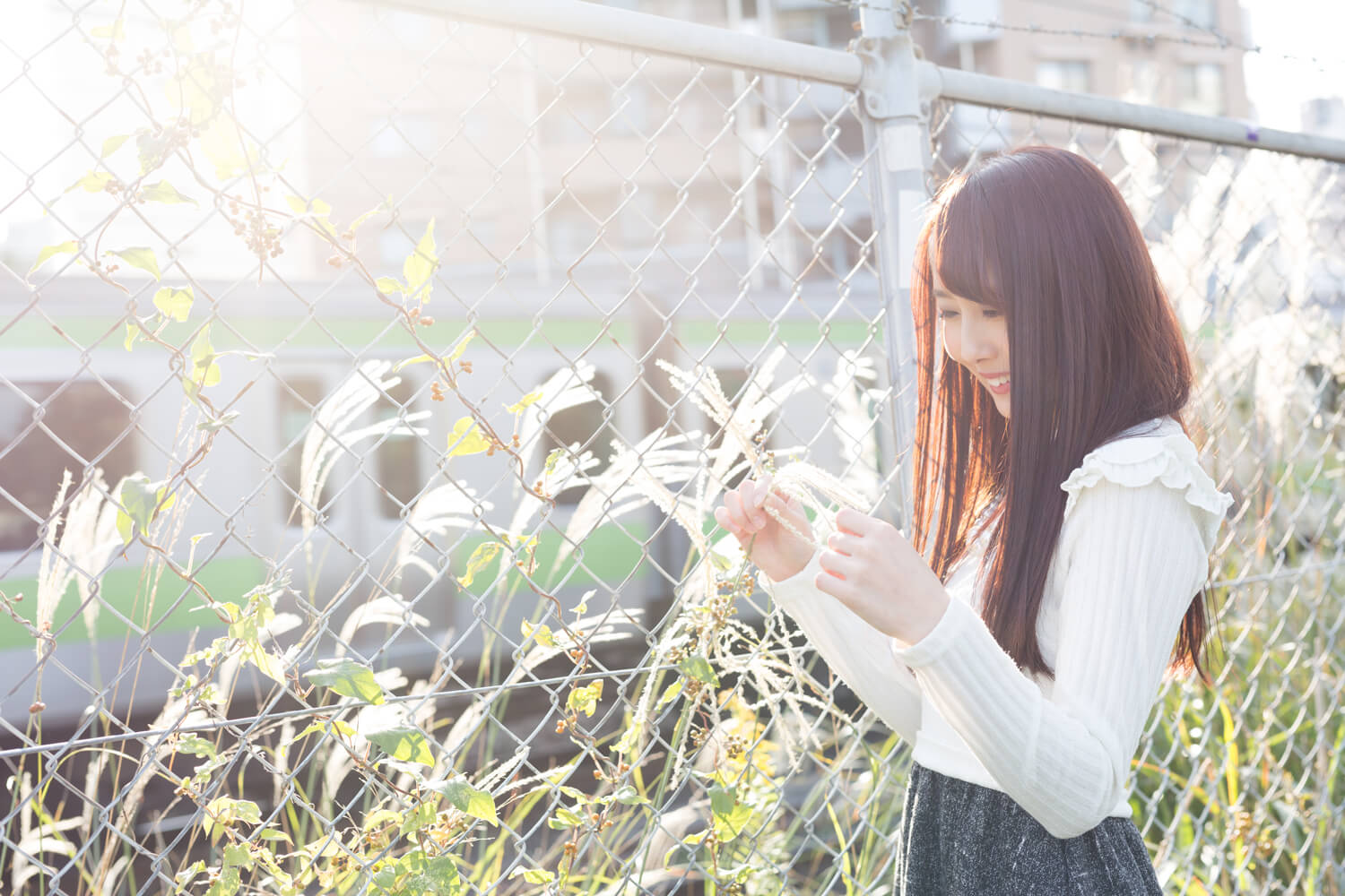 生田千秋の写真