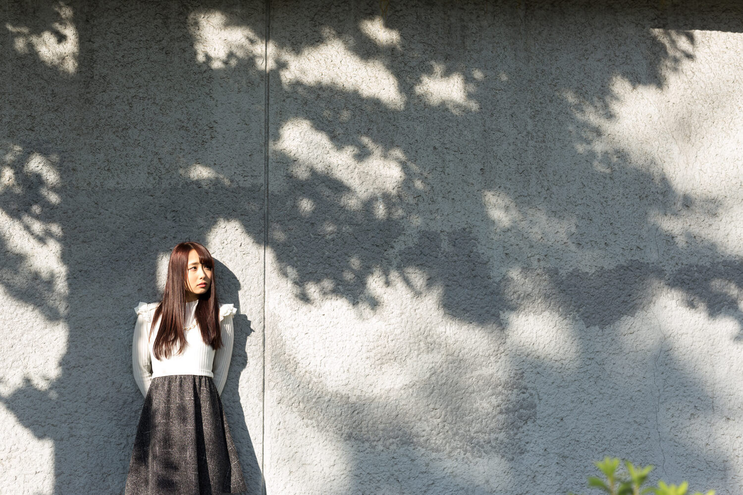 生田千秋の写真