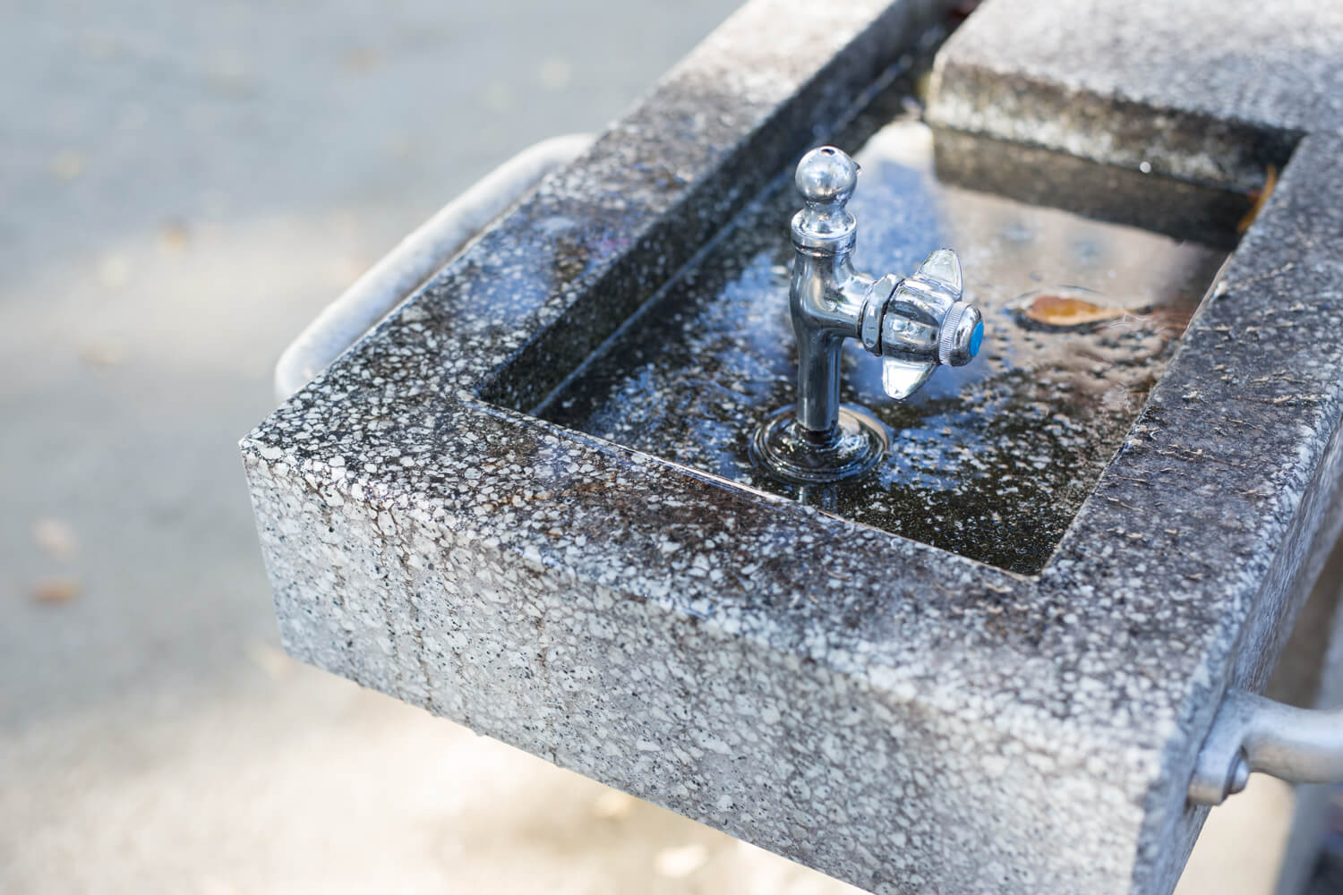 生田千秋の写真