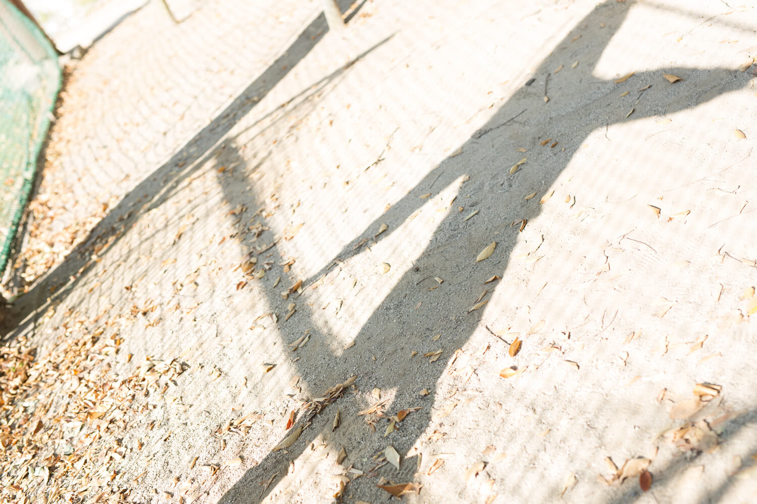 生田千秋の写真