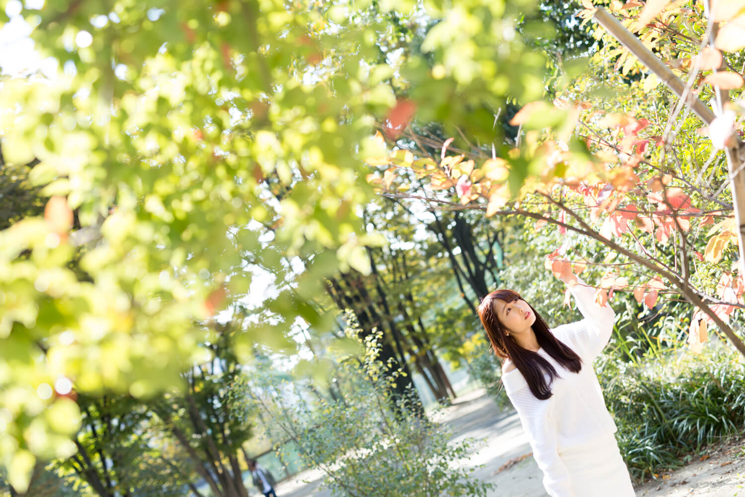 生田千秋の写真