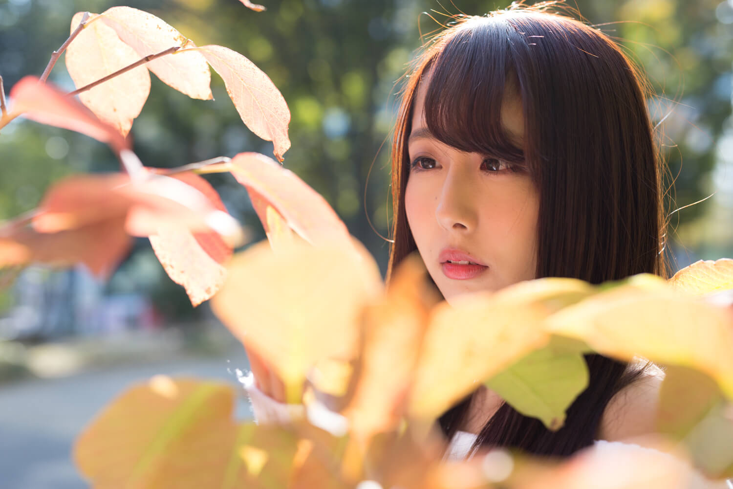 生田千秋の写真