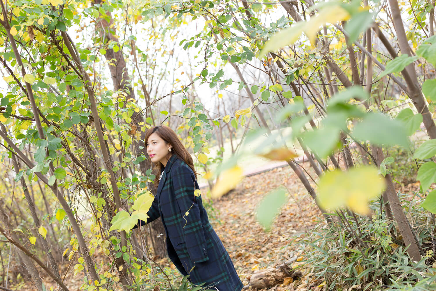 猪巻藍里の写真