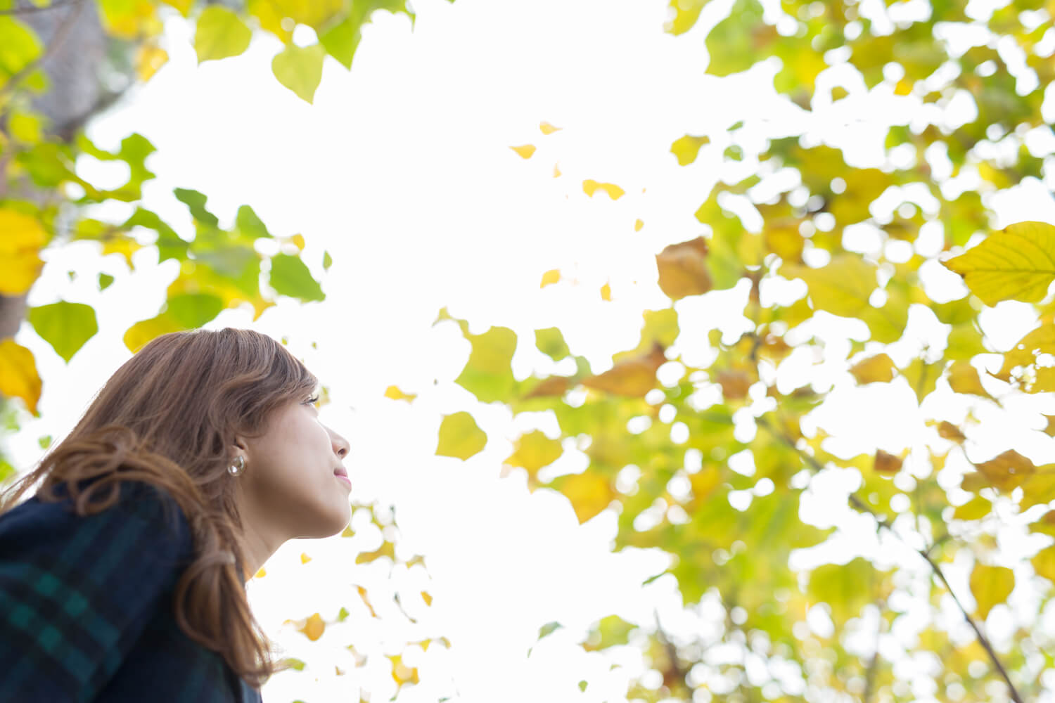 猪巻藍里の写真