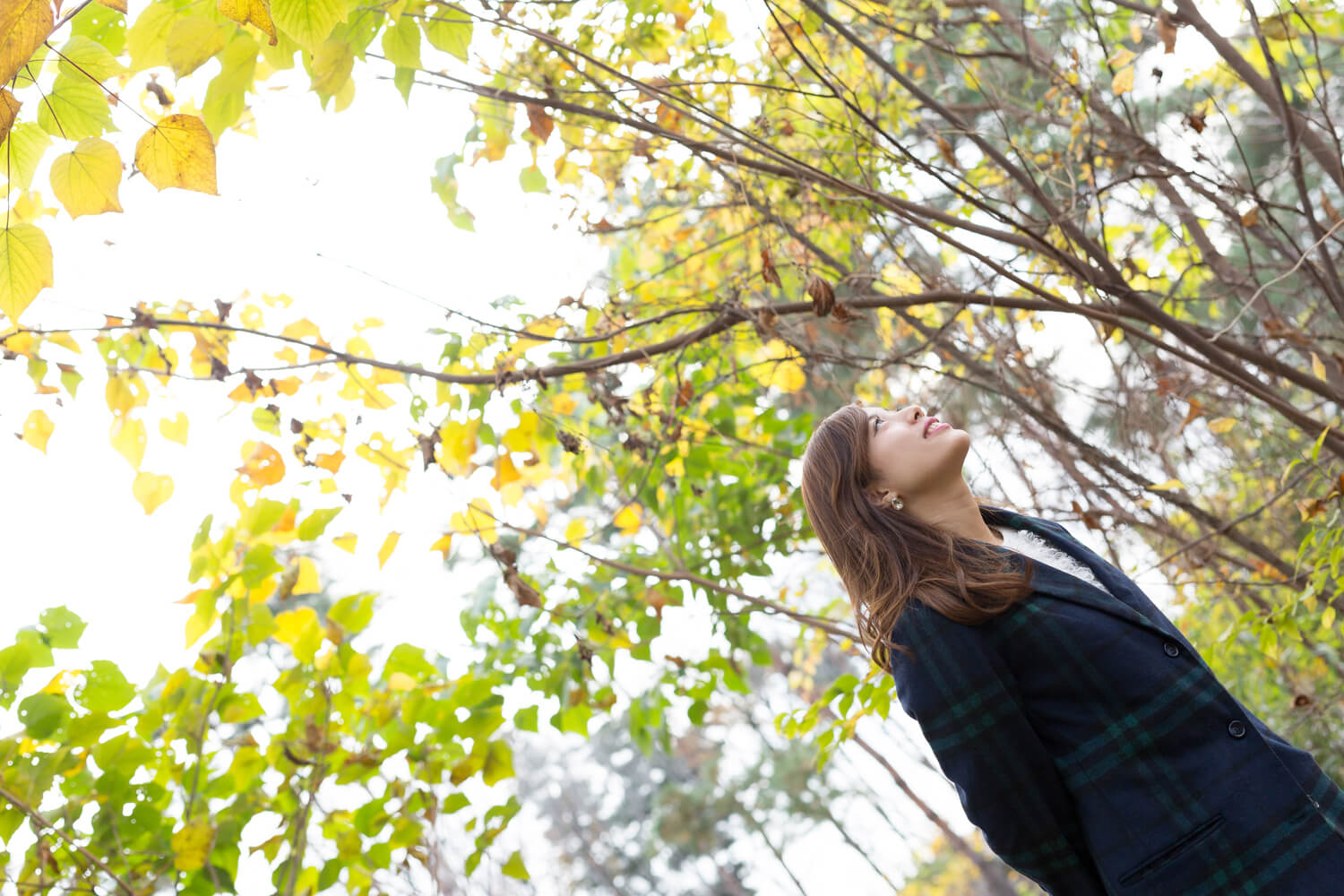 猪巻藍里の写真