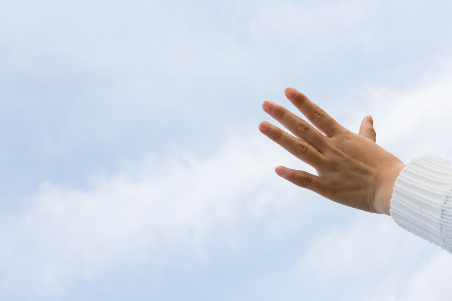 猪巻藍里の写真