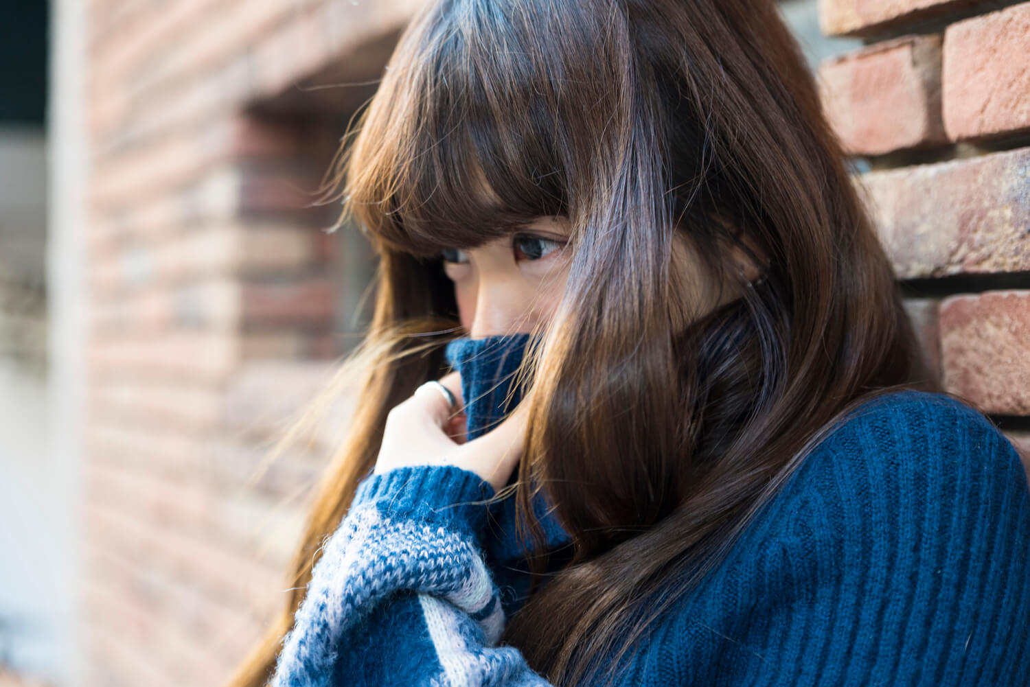 めーたんの写真