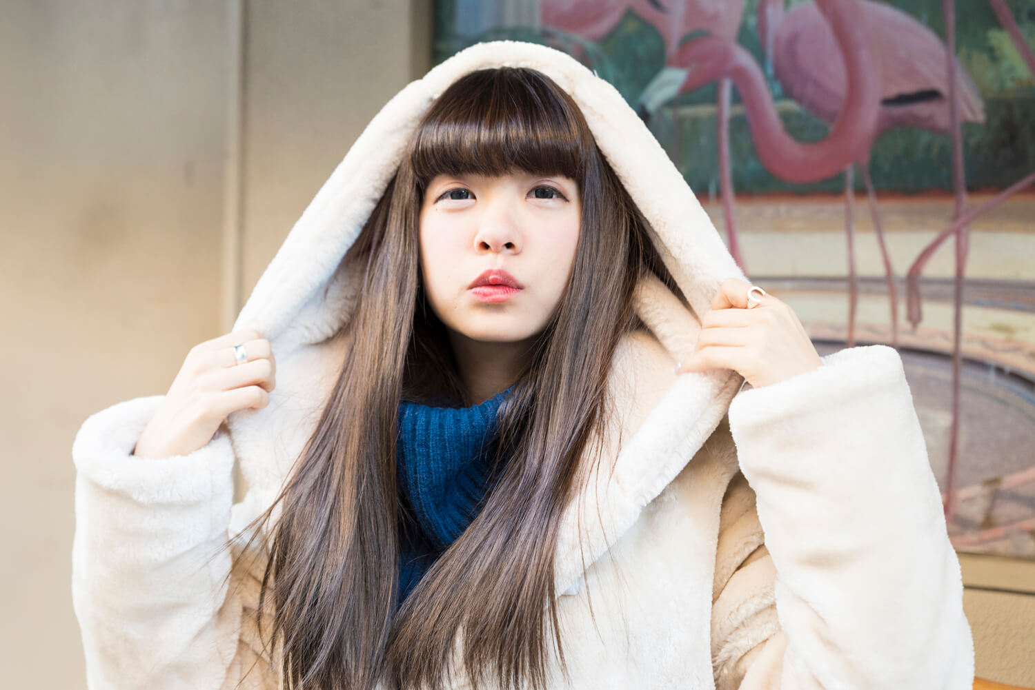 めーたんの写真