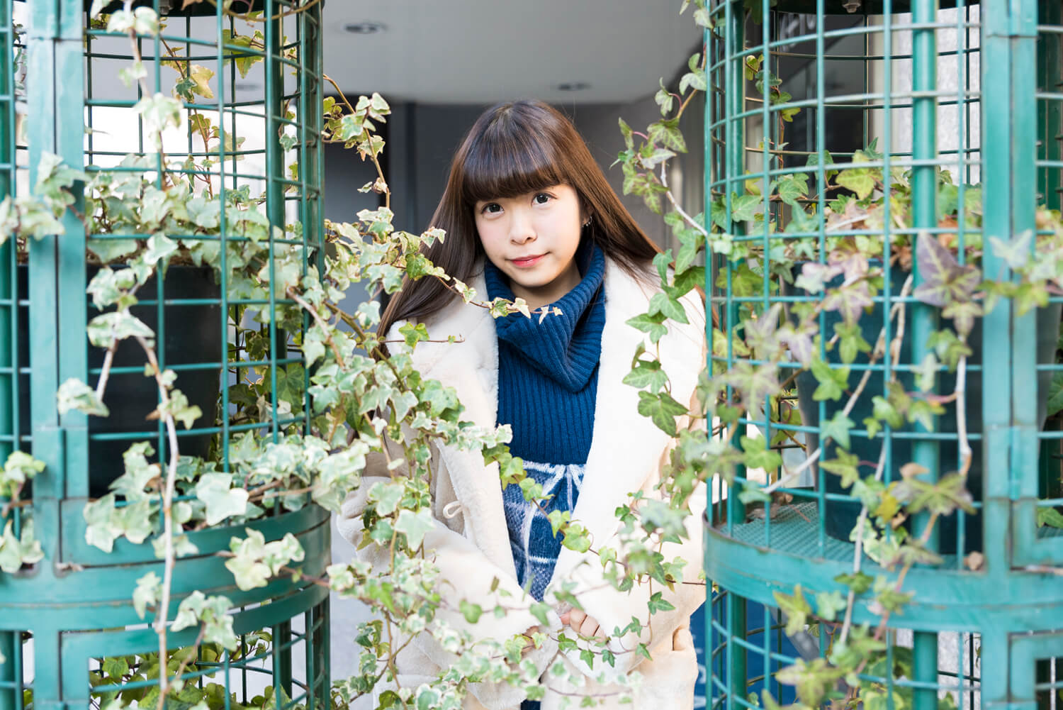 めーたんの写真