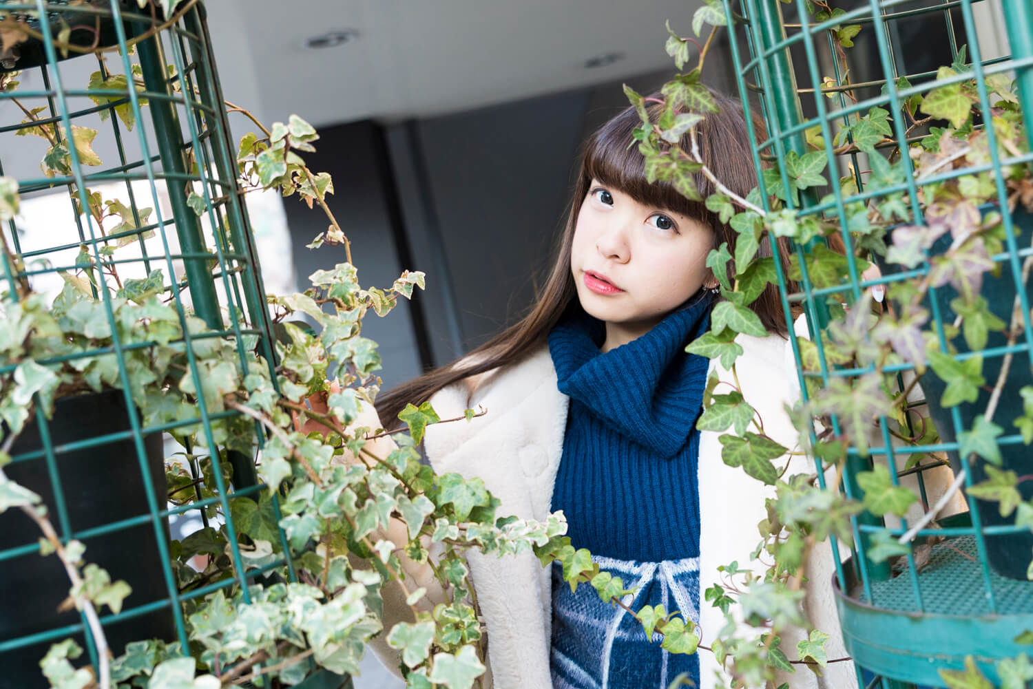 めーたんの写真