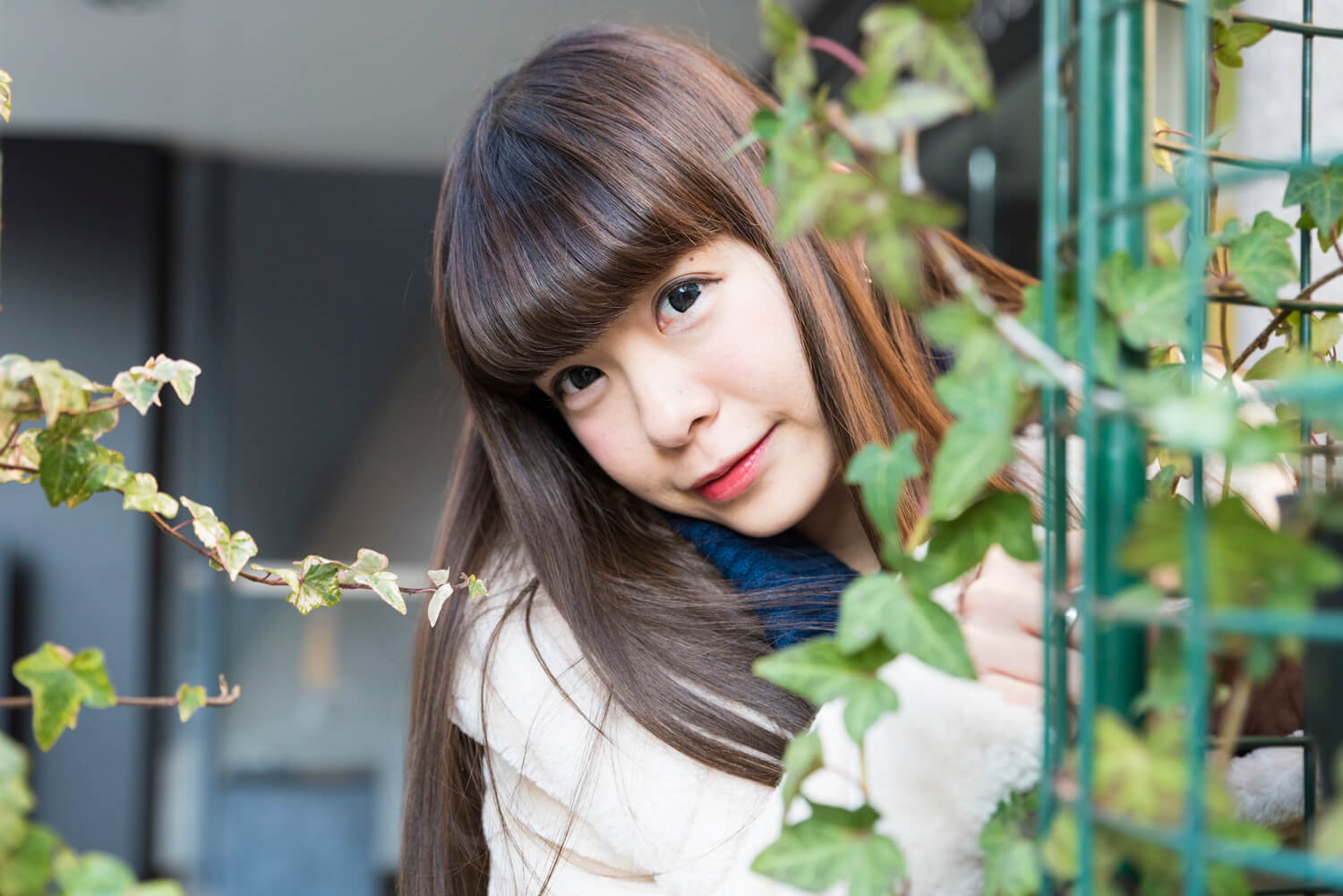 めーたんの写真