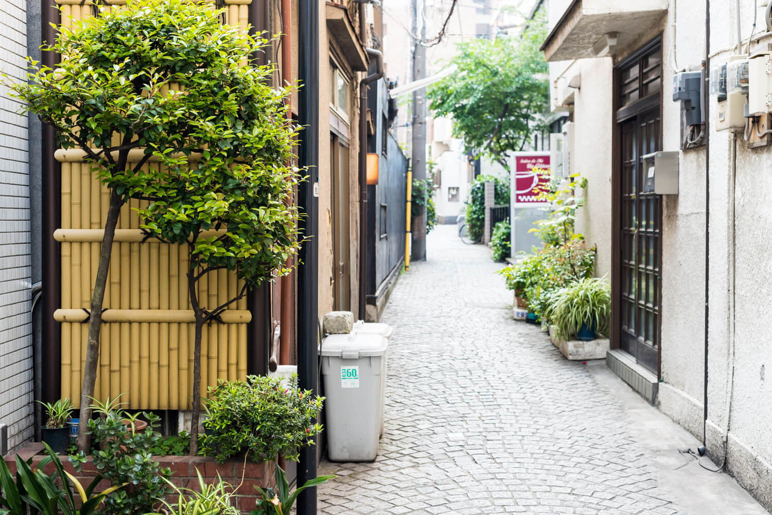 つじまこの写真