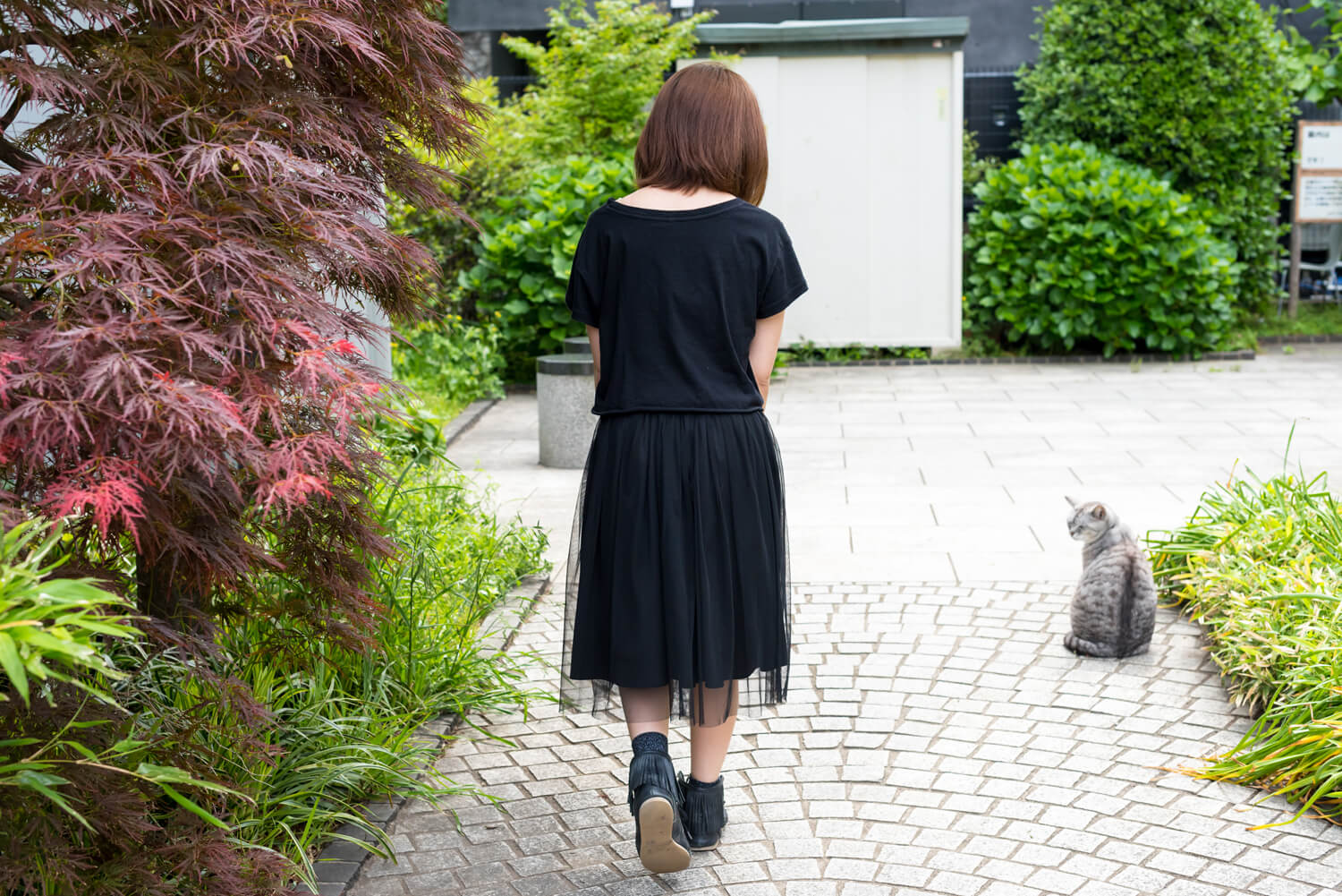 つじまこの写真