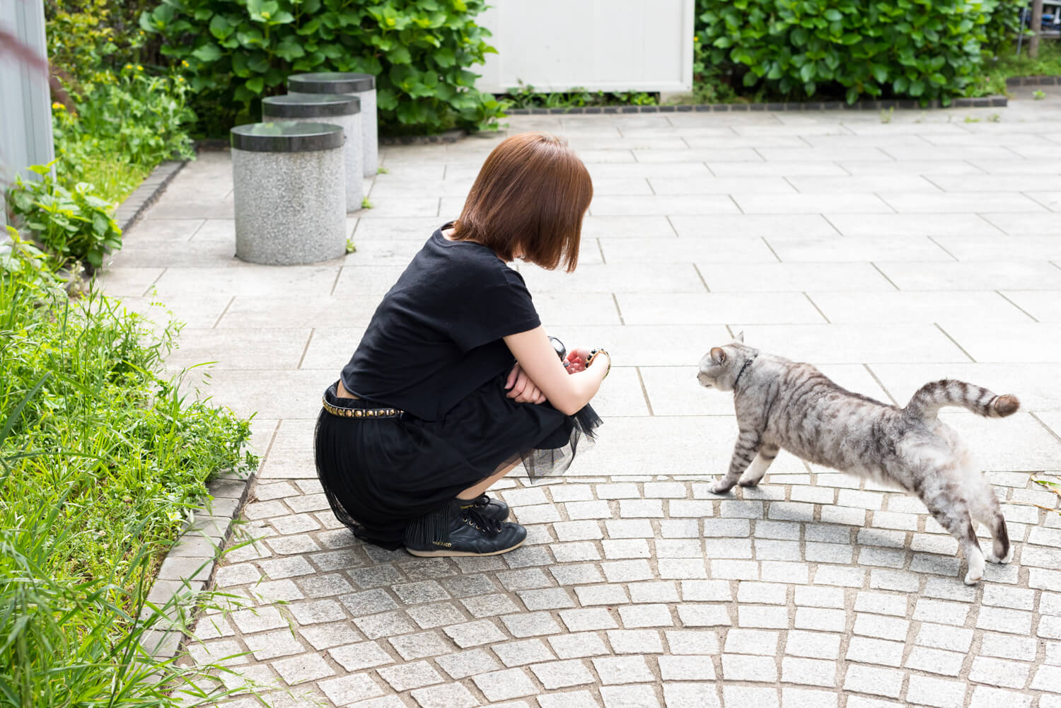 つじまこの写真