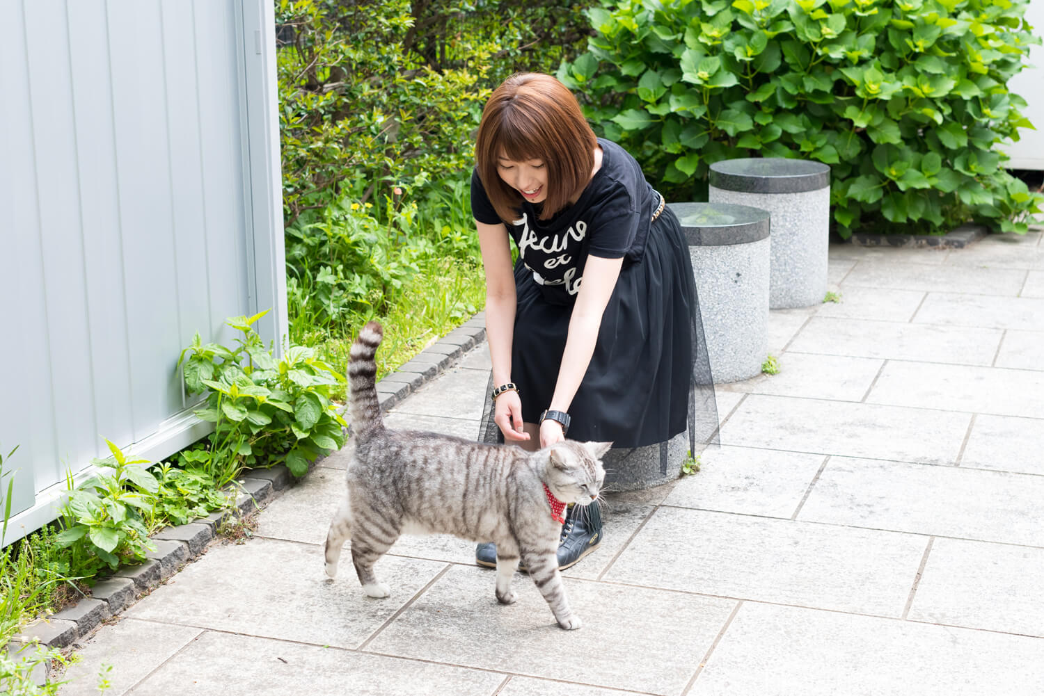 つじまこの写真