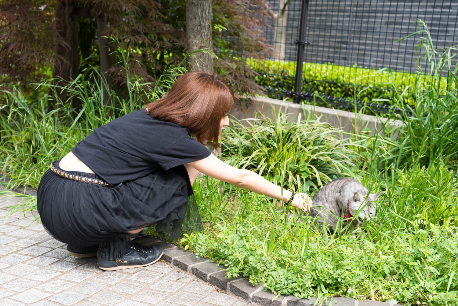 つじまこの写真