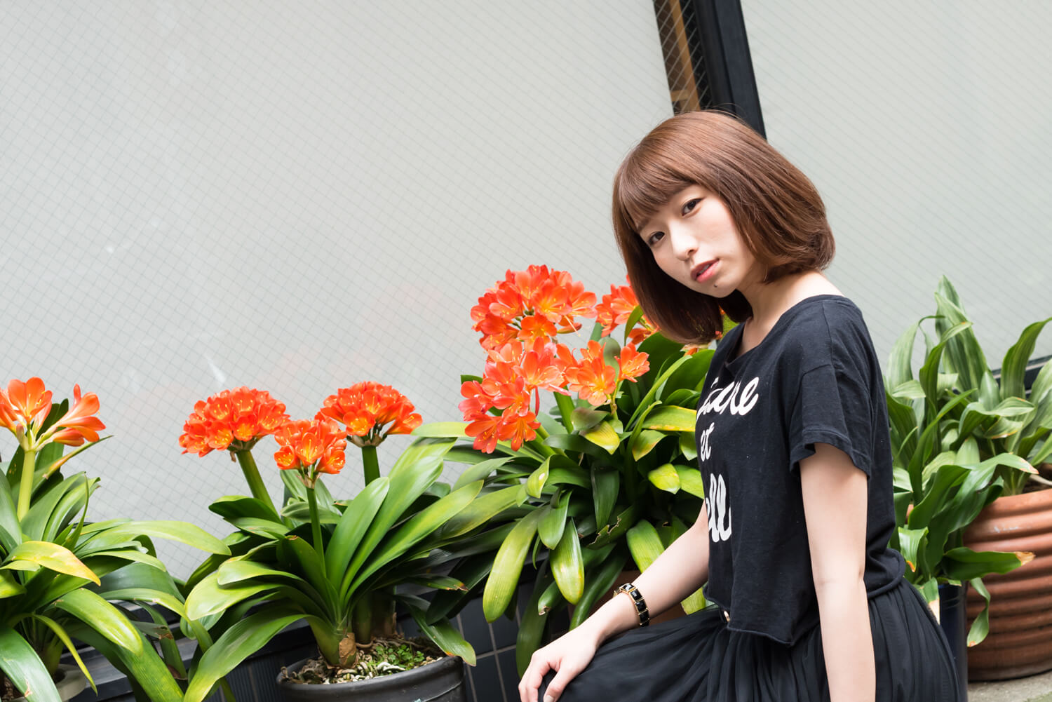 つじまこの写真