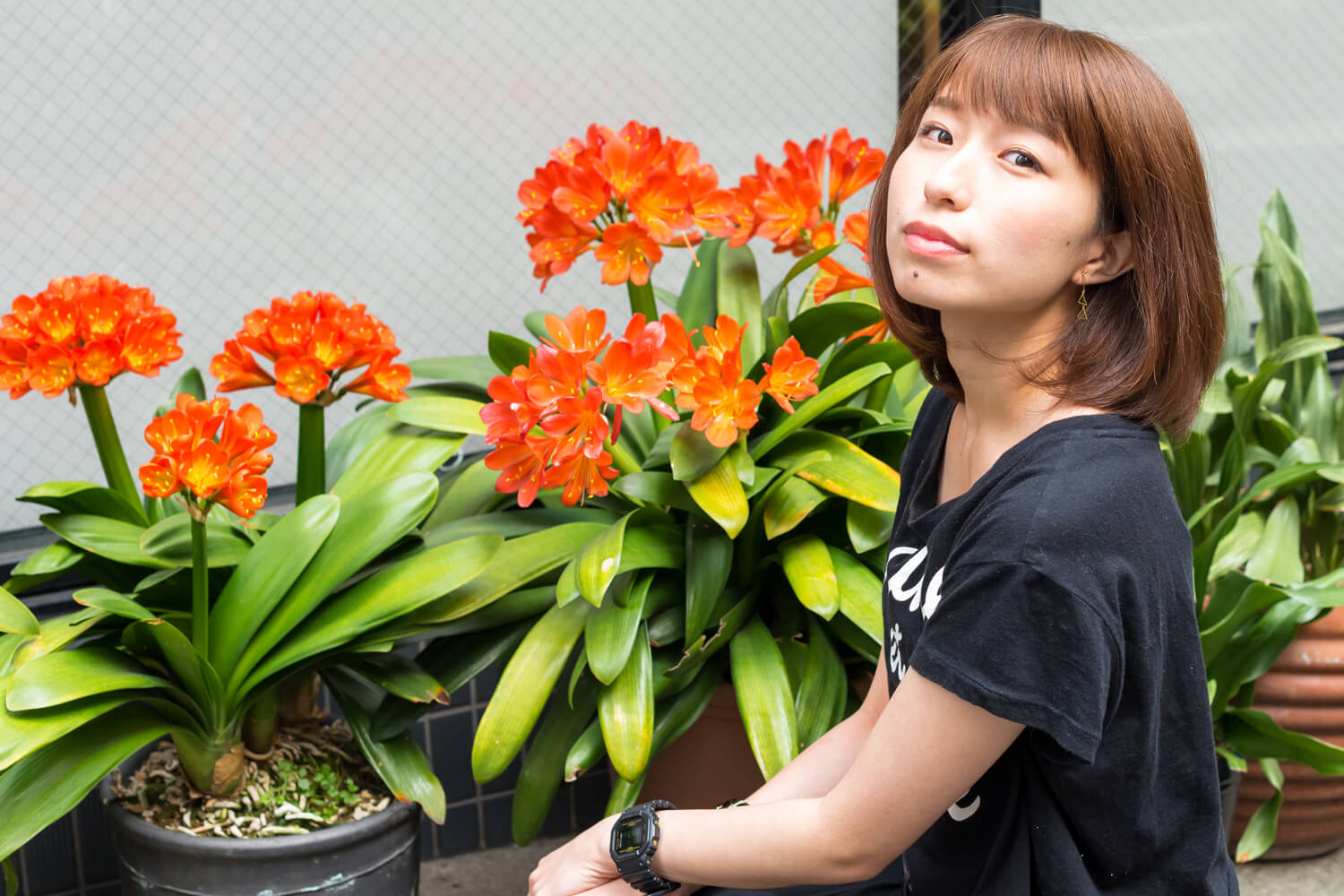 つじまこの写真