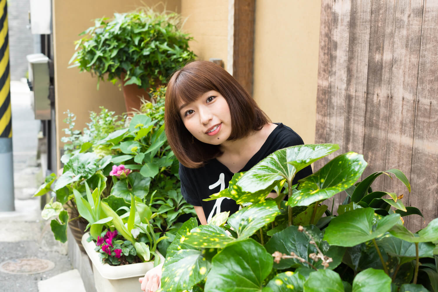 つじまこの写真