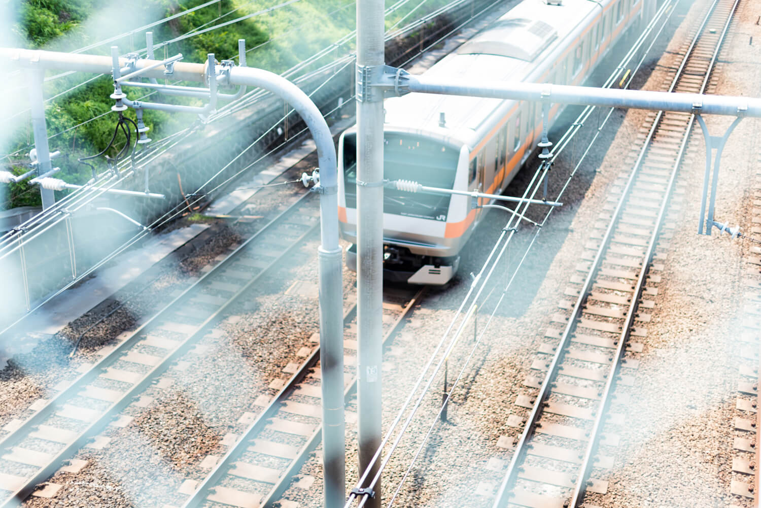 つじまこの写真