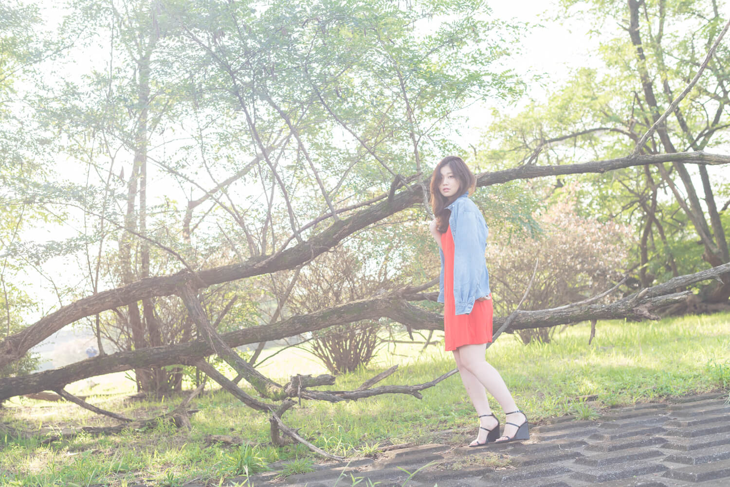 岡本モエギの写真