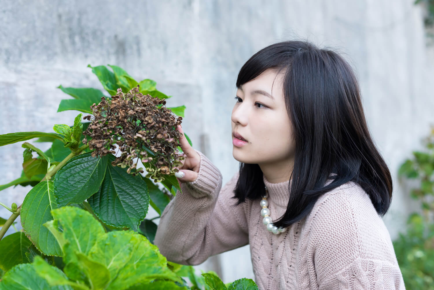 つじたあかりの写真