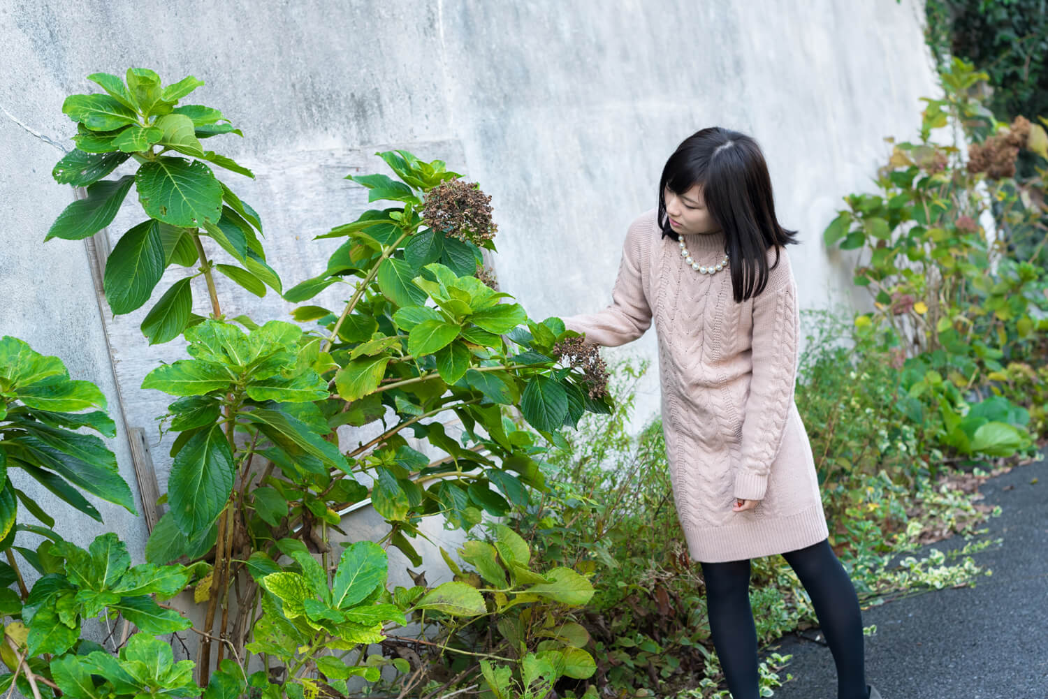 つじたあかりの写真