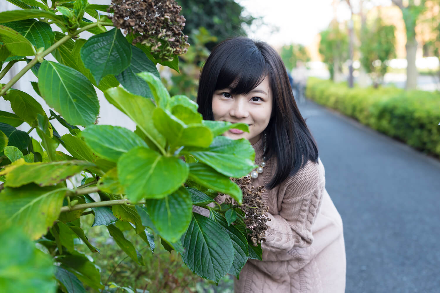 つじたあかりの写真