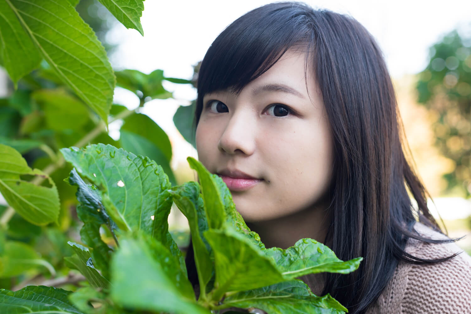 つじたあかりの写真