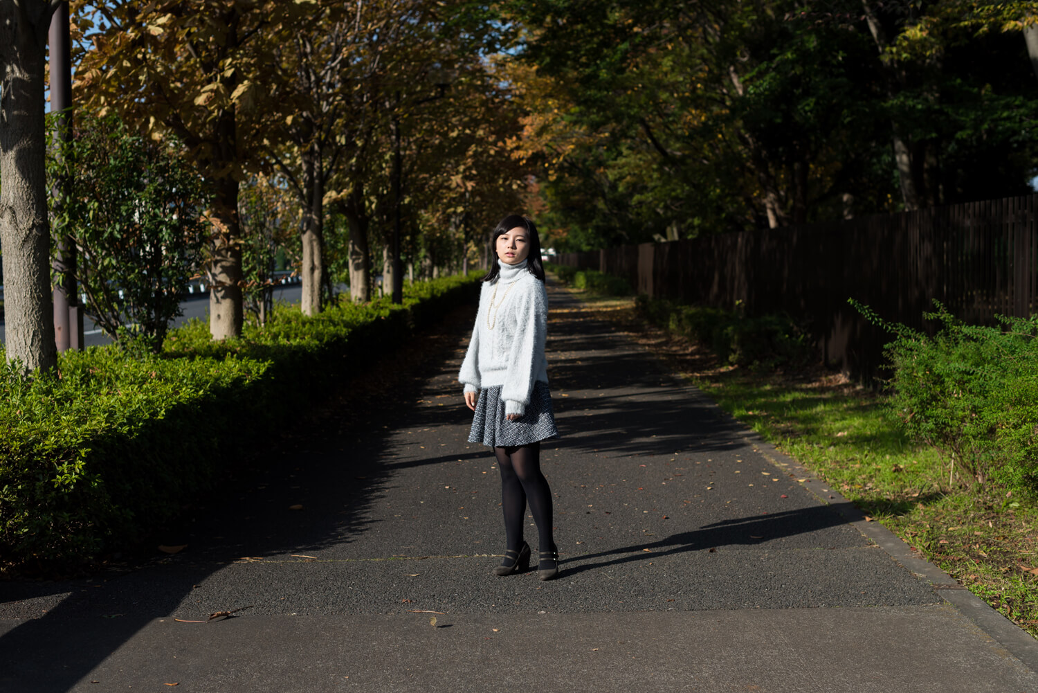 つじたあかりの写真