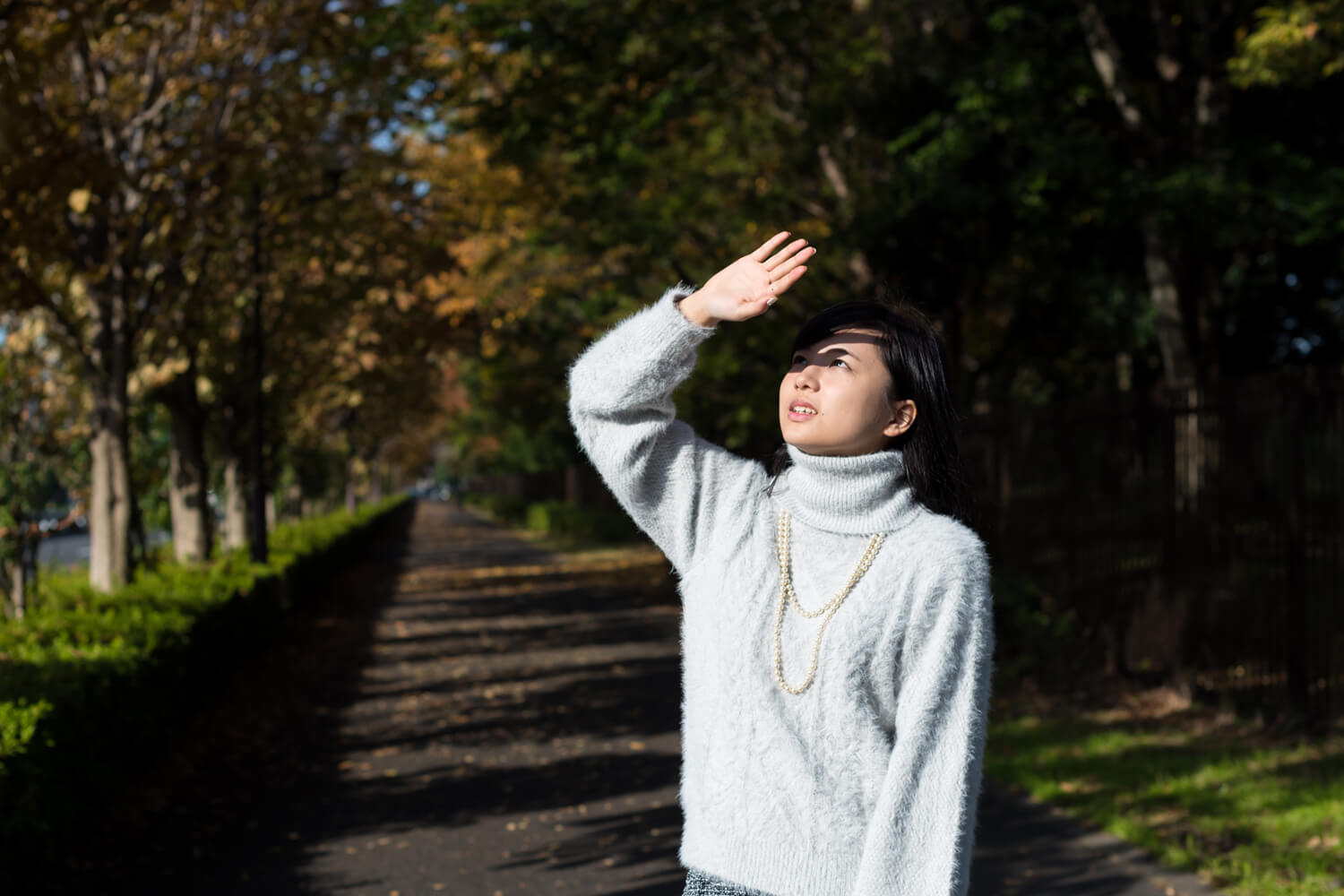 つじたあかりの写真