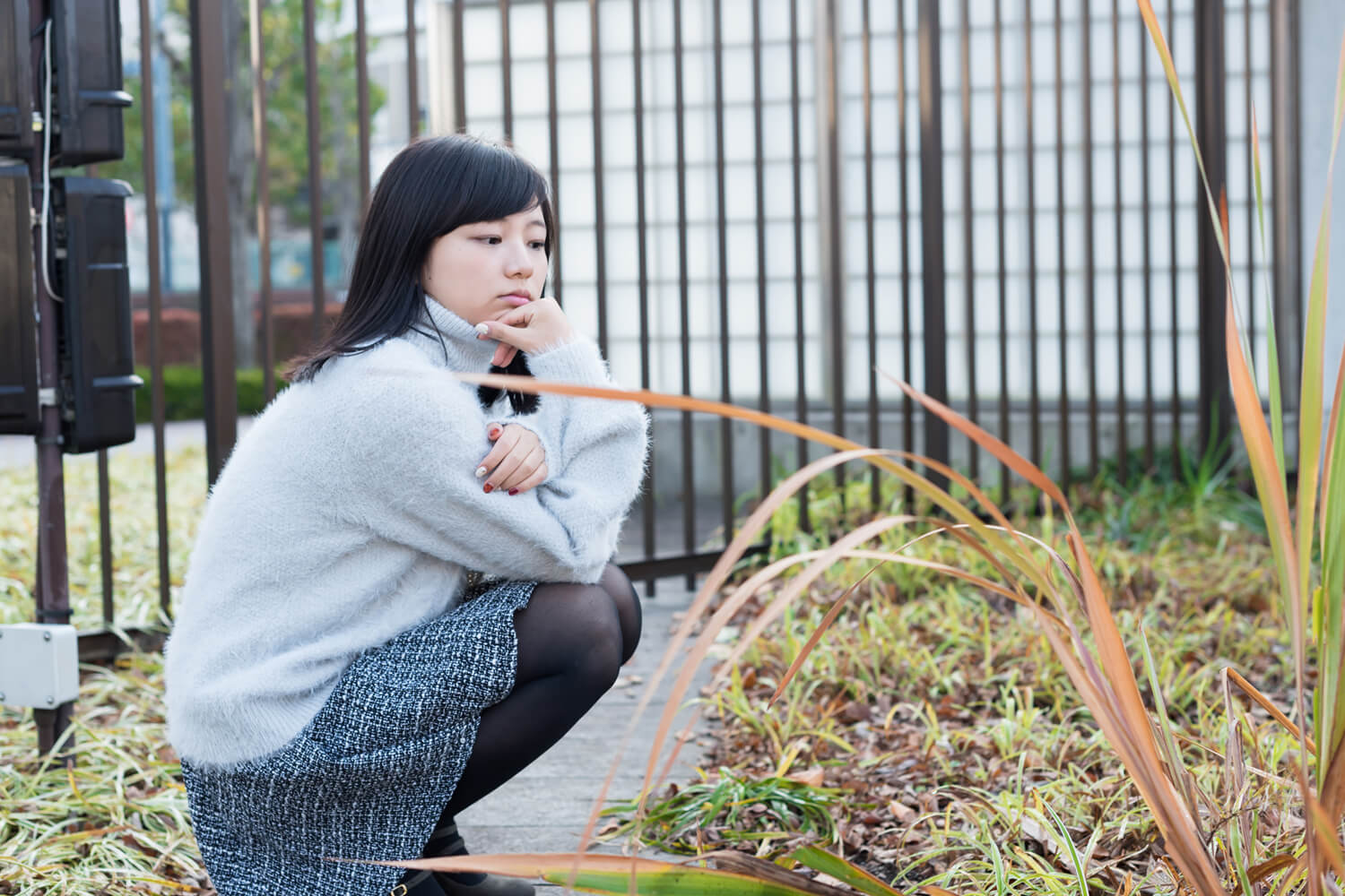 つじたあかりの写真