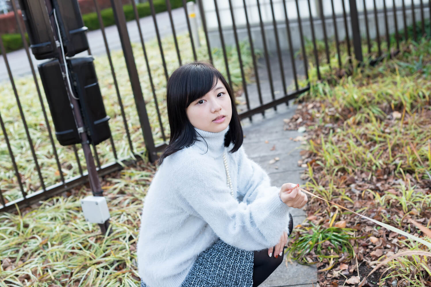 つじたあかりの写真