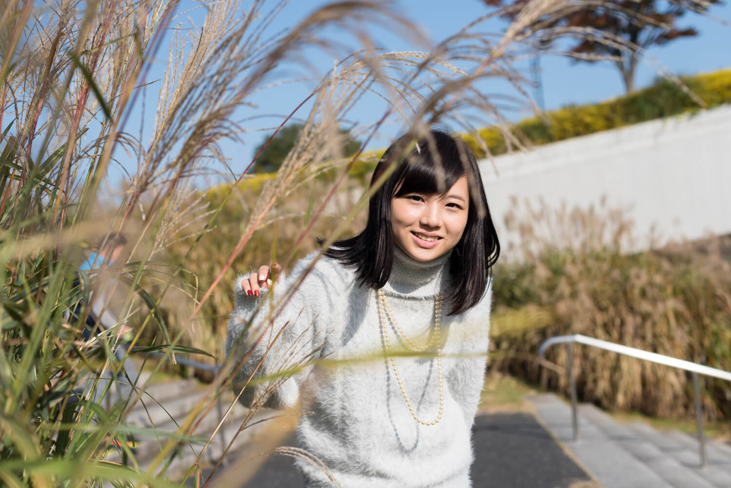 つじたあかりの写真