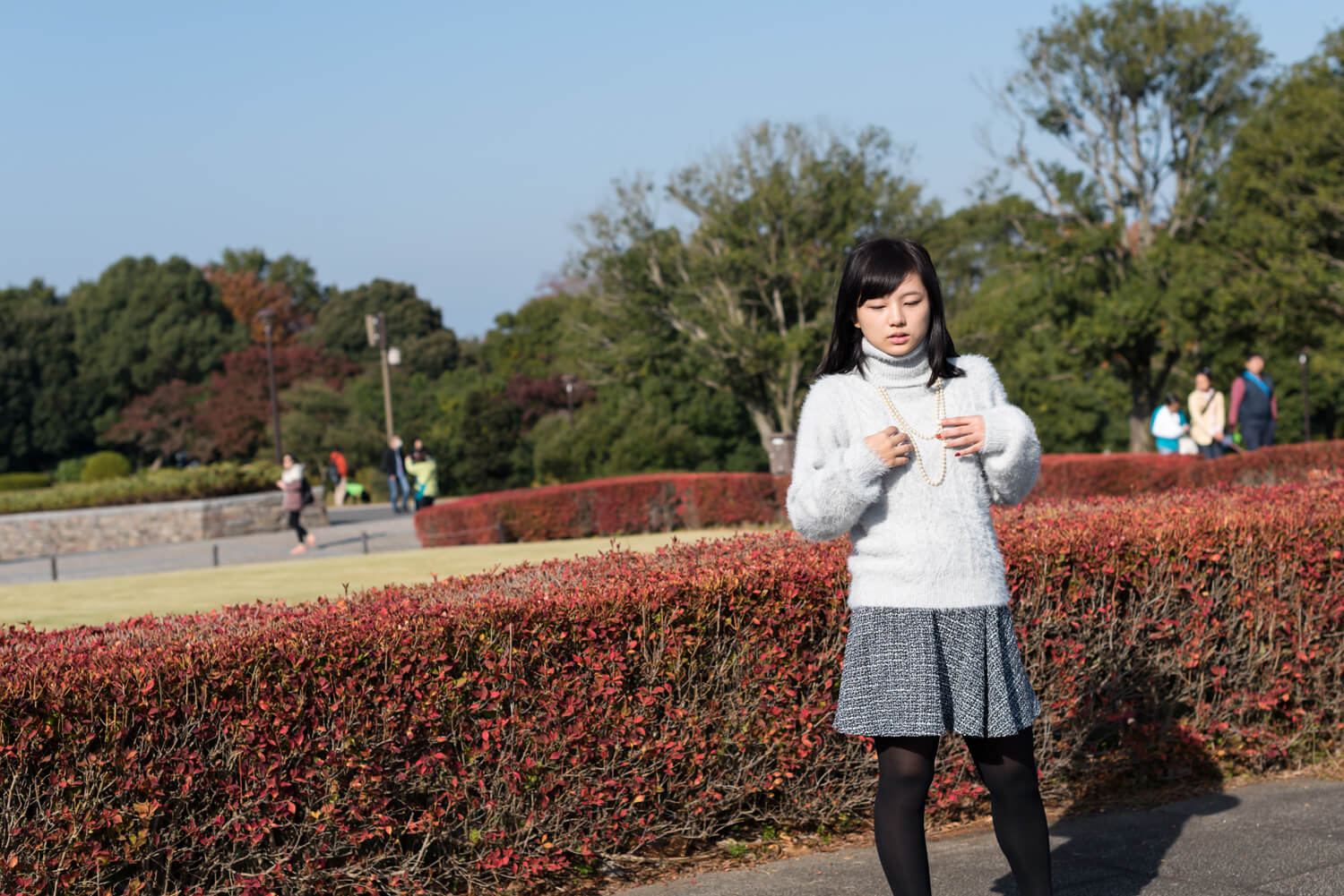 つじたあかりの写真