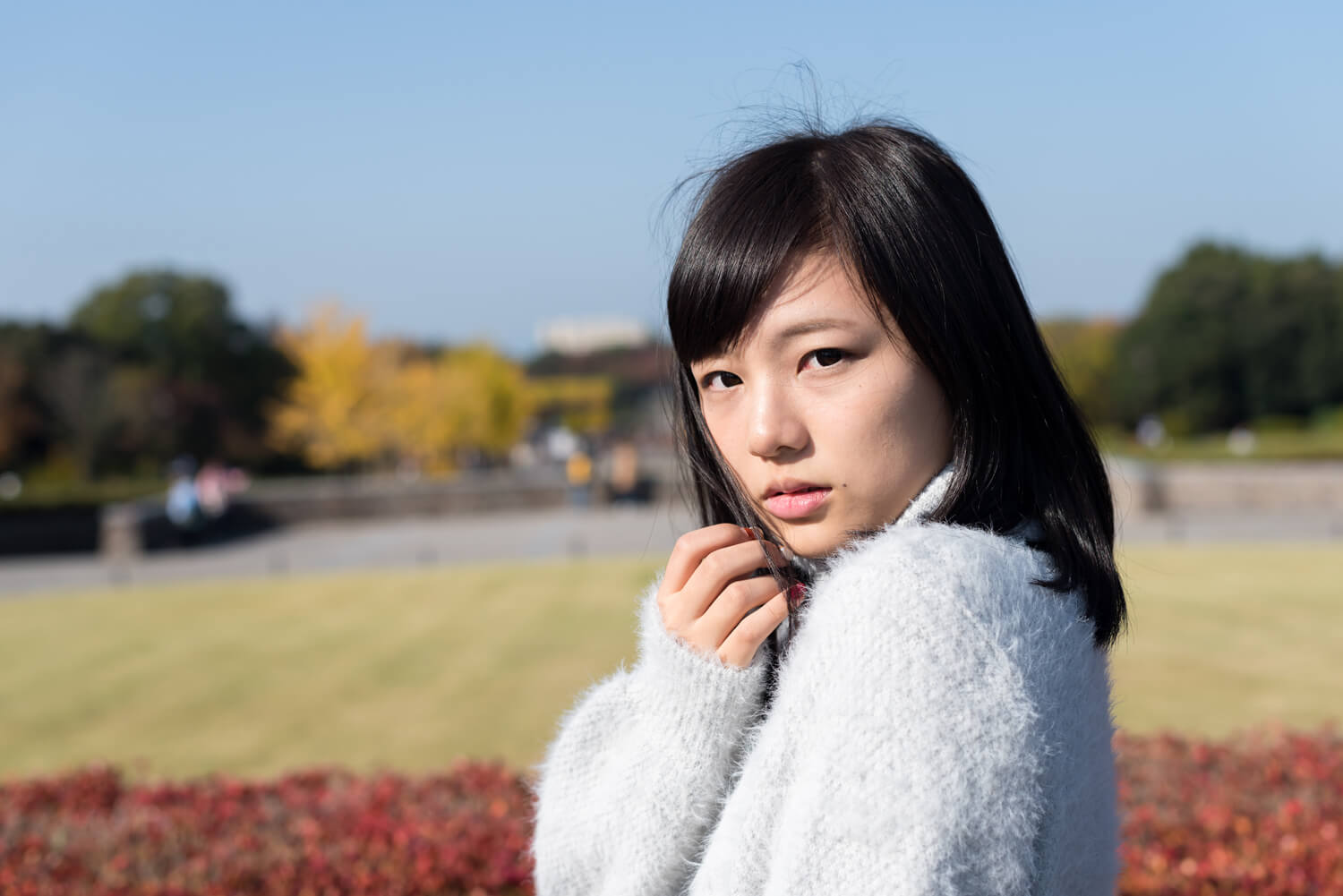 つじたあかりの写真