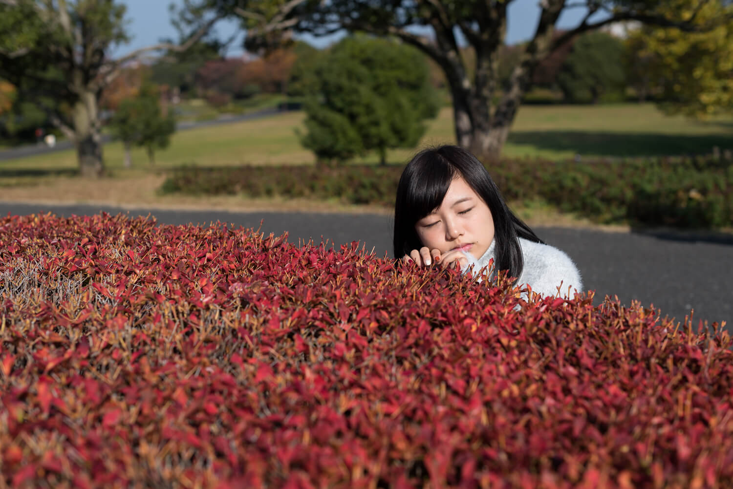 つじたあかりの写真