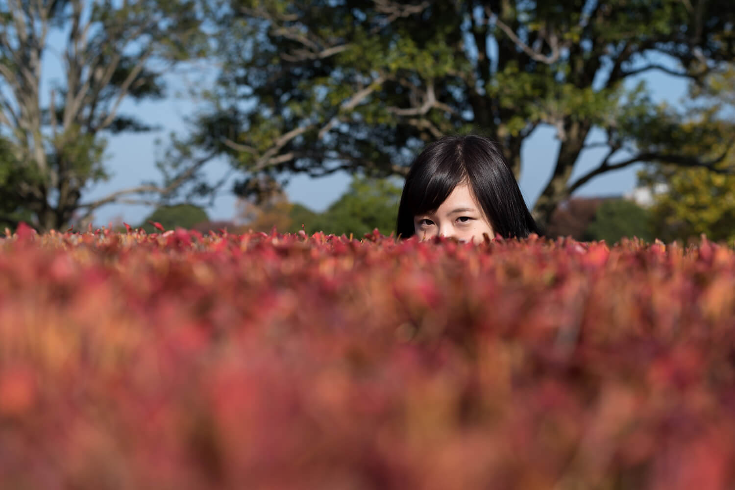 つじたあかりの写真