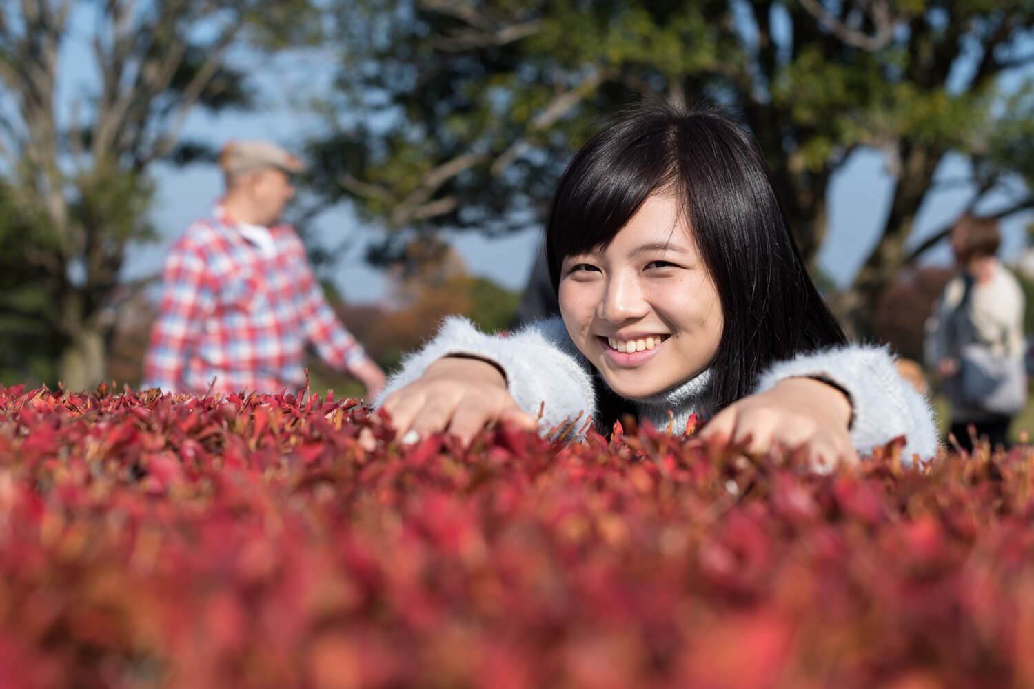 つじたあかりの写真