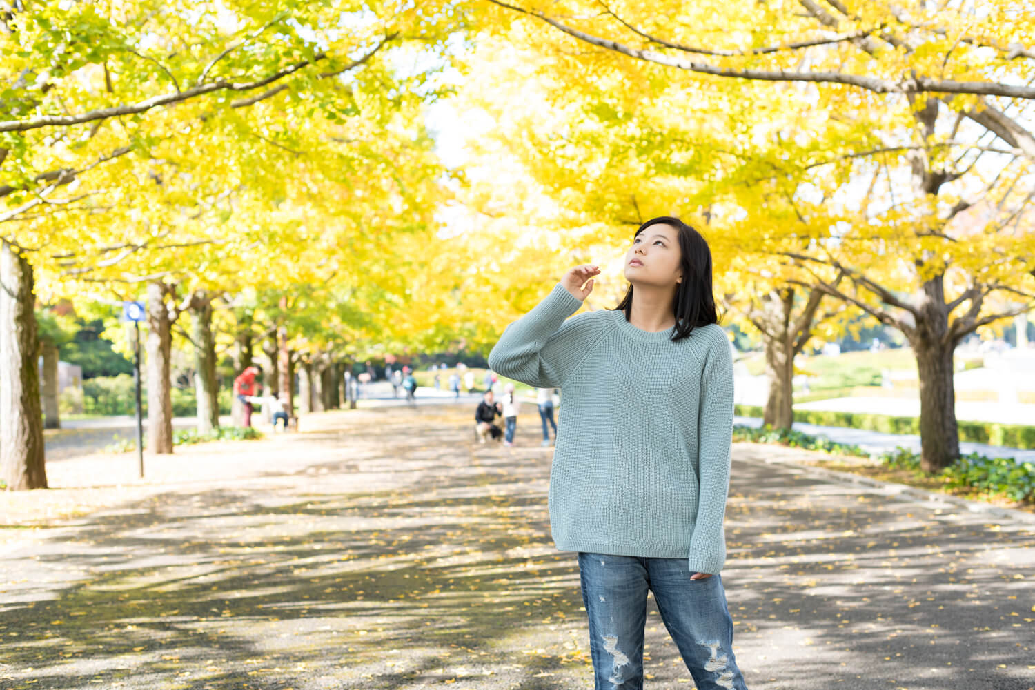 つじたあかりの写真