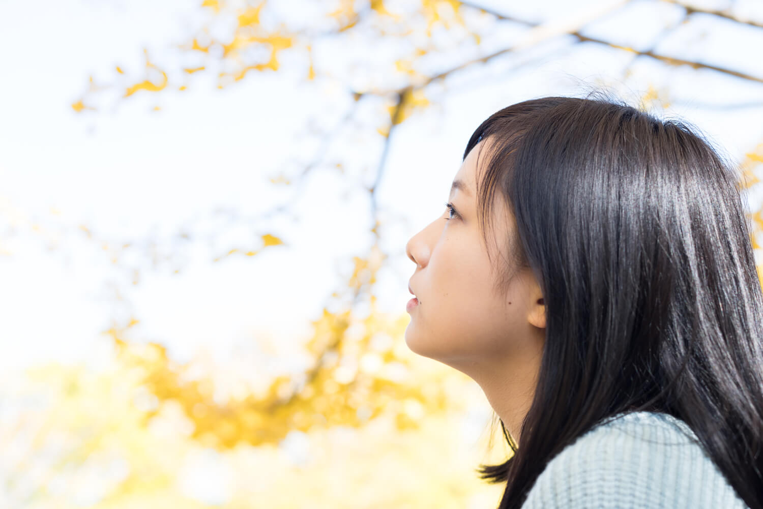 つじたあかりの写真