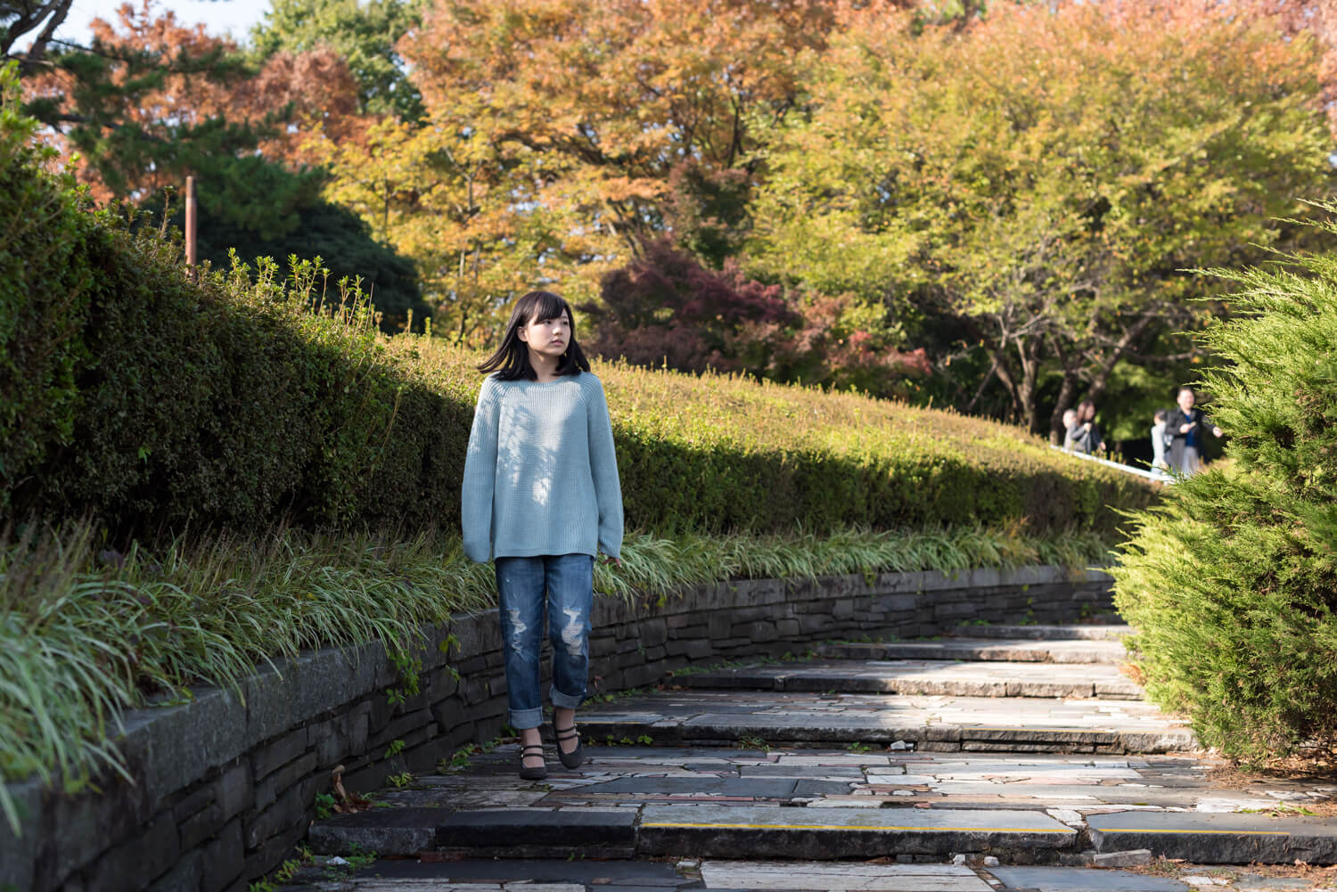 つじたあかりの写真