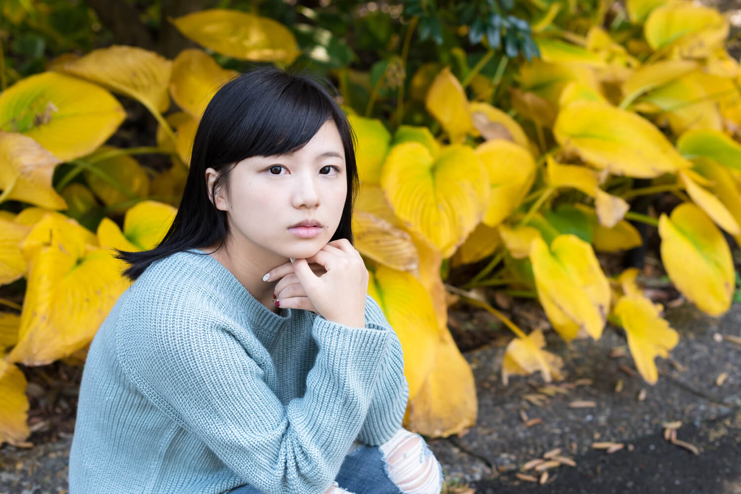 つじたあかりの写真