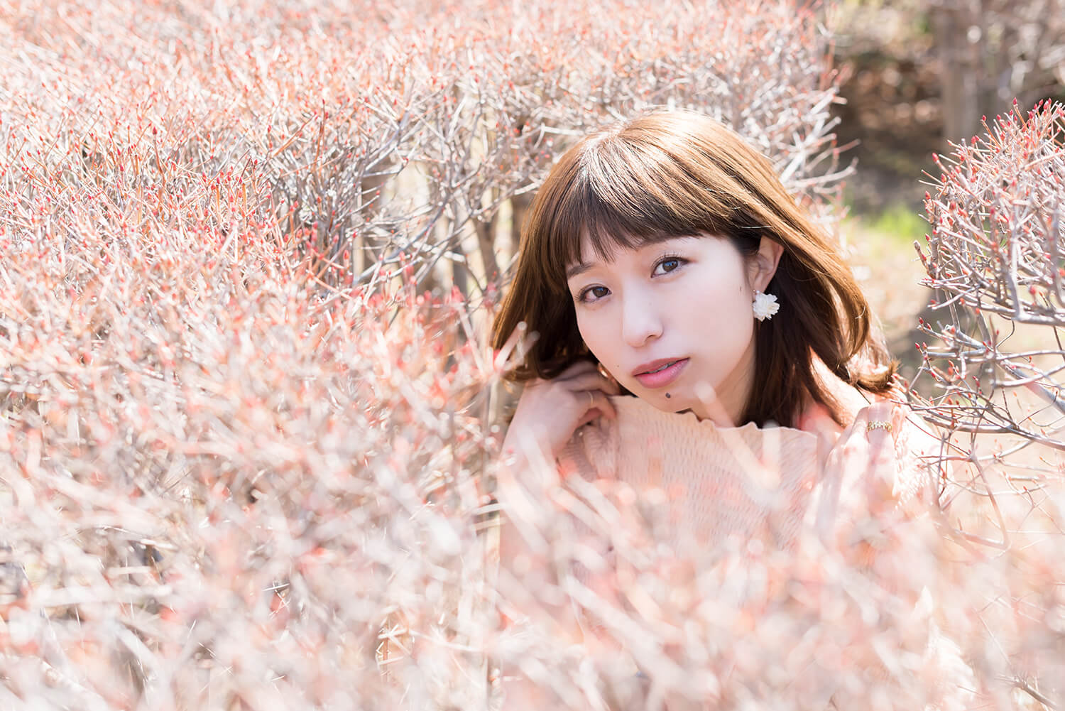 つじまこの写真