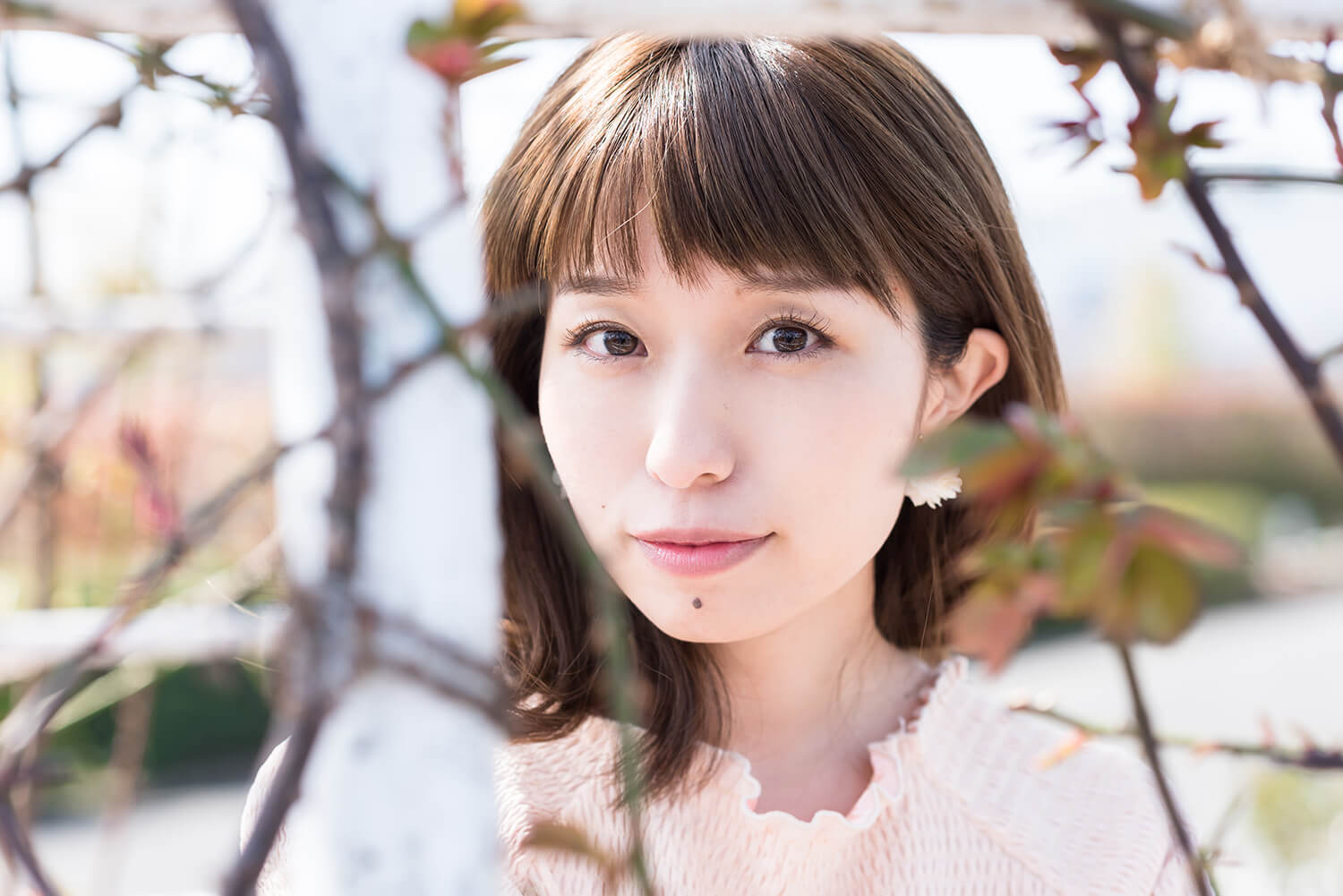 つじまこの写真