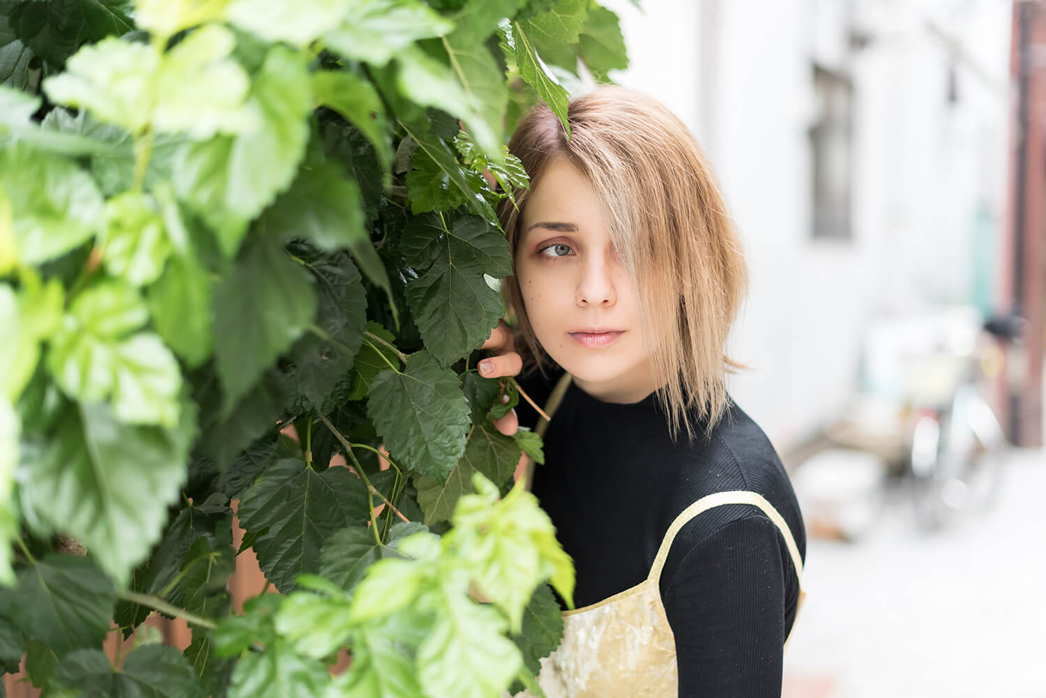 アナスタシアの写真