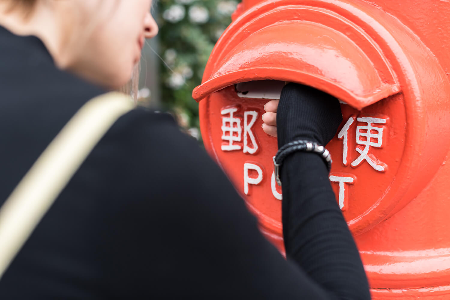 アナスタシアの写真